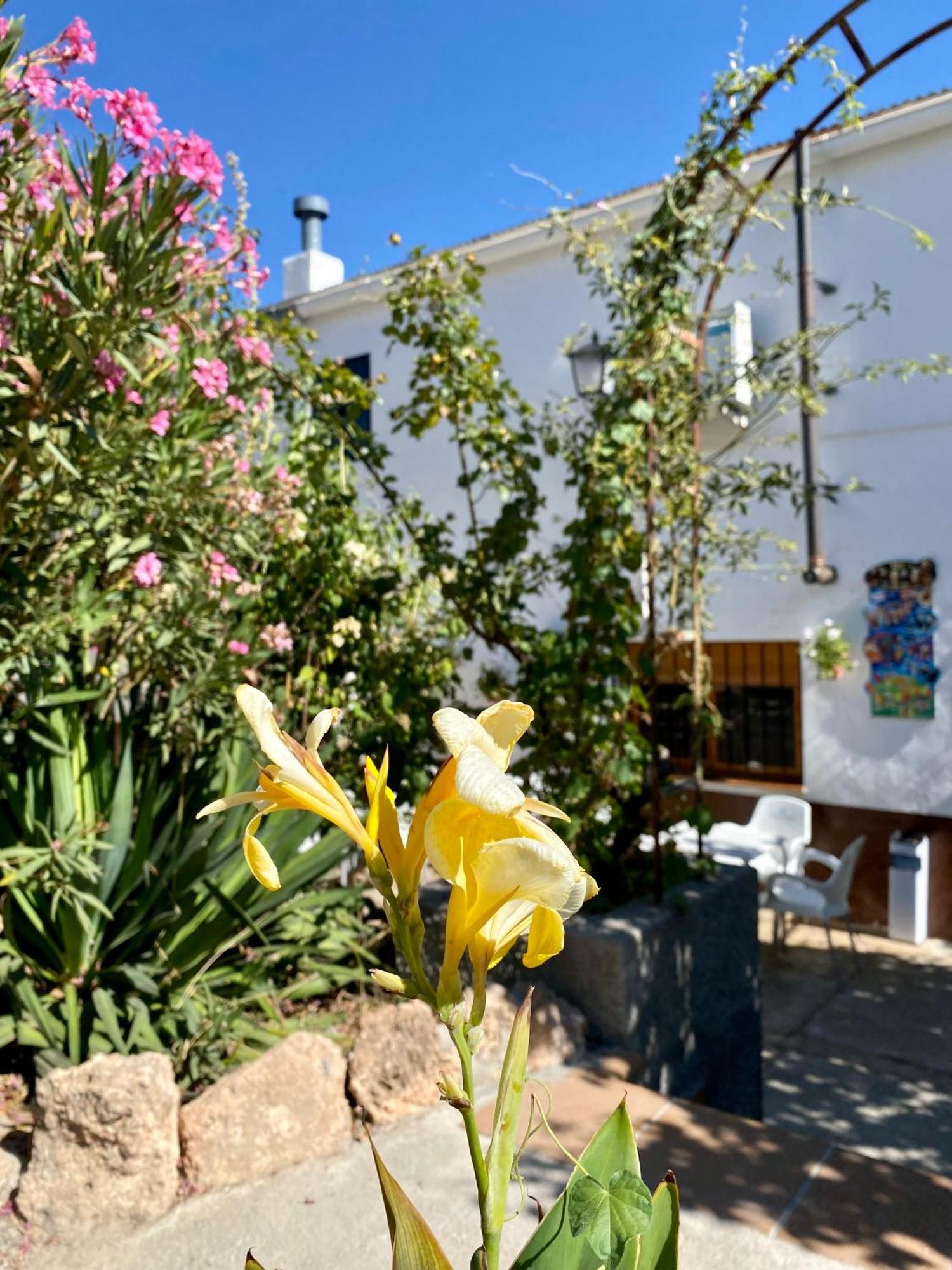 Alojamiento Rural Mar De Olivos Castril Exterior photo